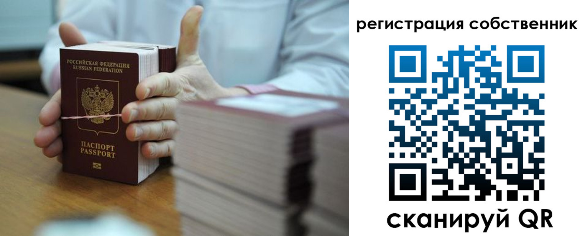 временная регистрация гарантия в Павловске